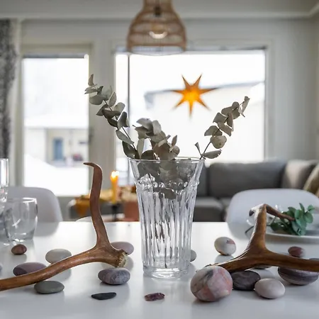 Lapland Bright By Booklapland *