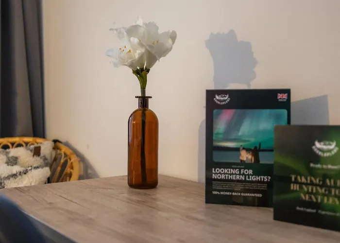 Lapland Bright By Booklapland * רובניימי